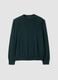 Green pure merino wool crew-neck jumper, regular fit_0