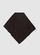 Brown Scarf_0