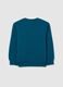 Children's blue pure cotton sweatshirt regular fit with print_1