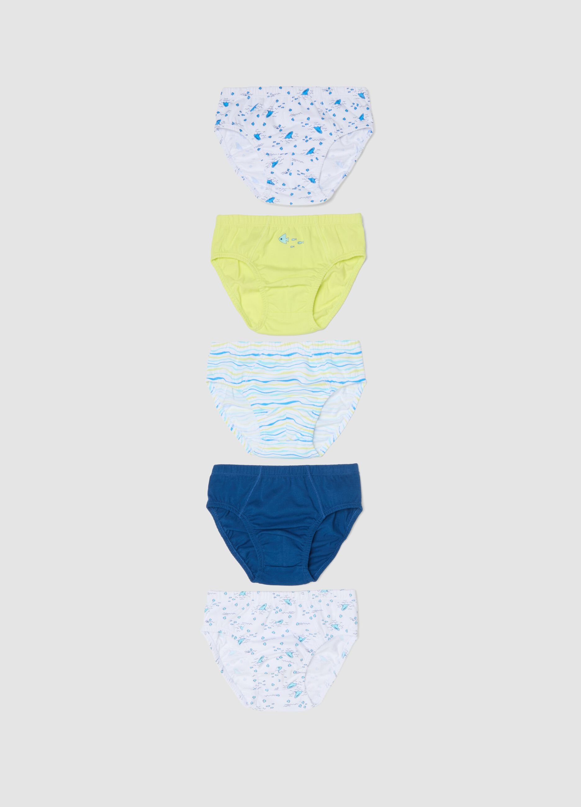 Boys&rsquo; multicolour pure cotton multipack briefs