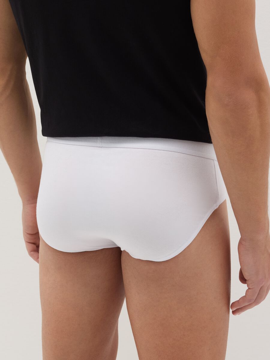 Five-pack organic cotton briefs_3