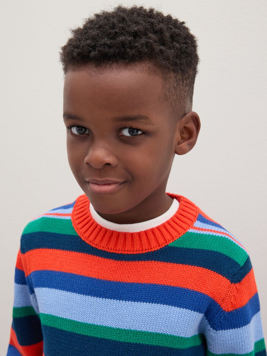 Boys' Pure Cotton Multicolour Regular Fit Jumper_2
