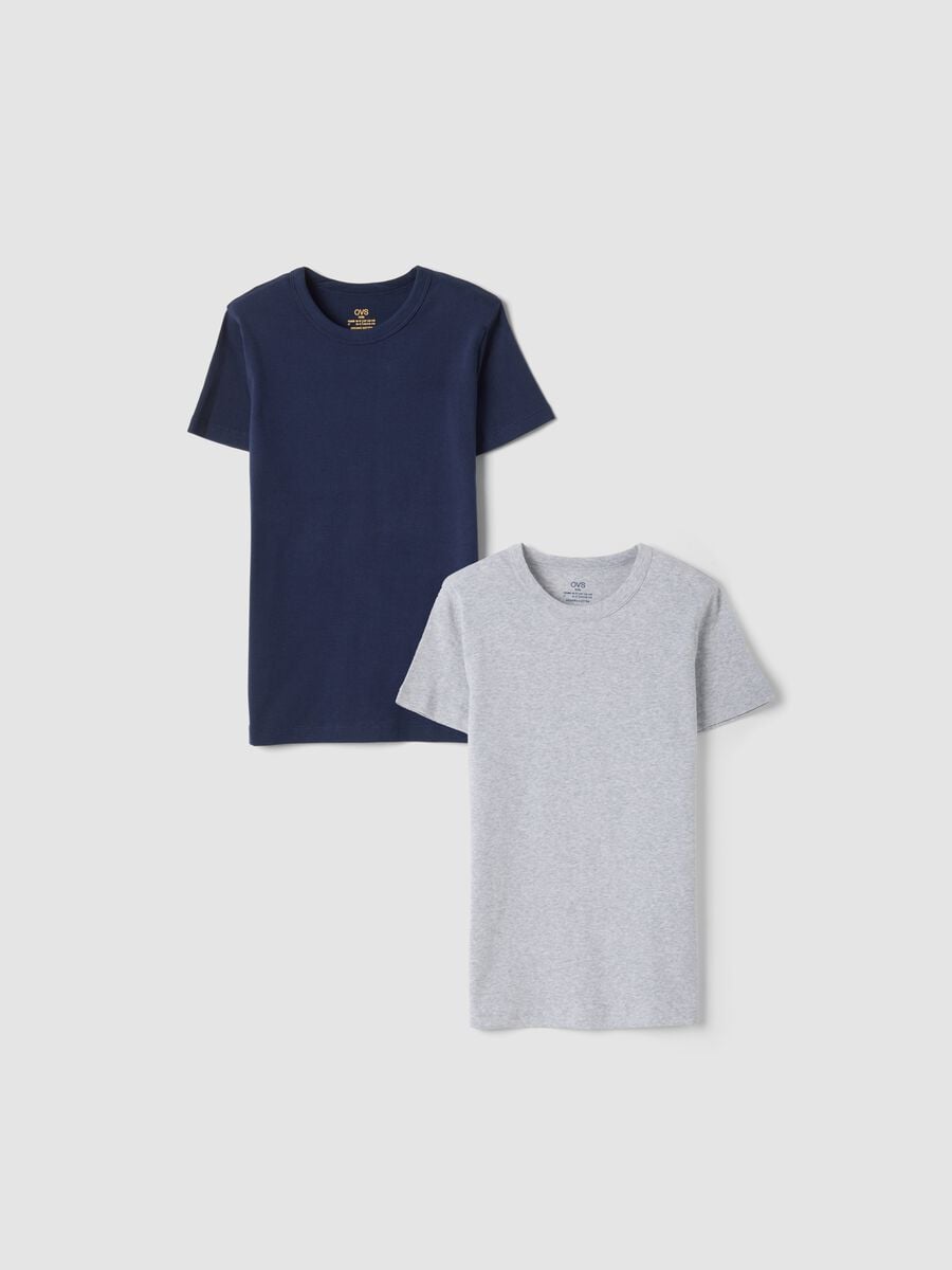 2-pack blue and grey organic cotton crew-neck T-shirts_0