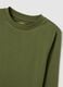 Green regular fit pure cotton children's sweater_3