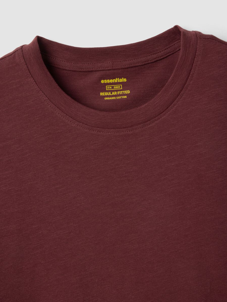 Brown pure cotton short sleeve t-shirt regular fit_5