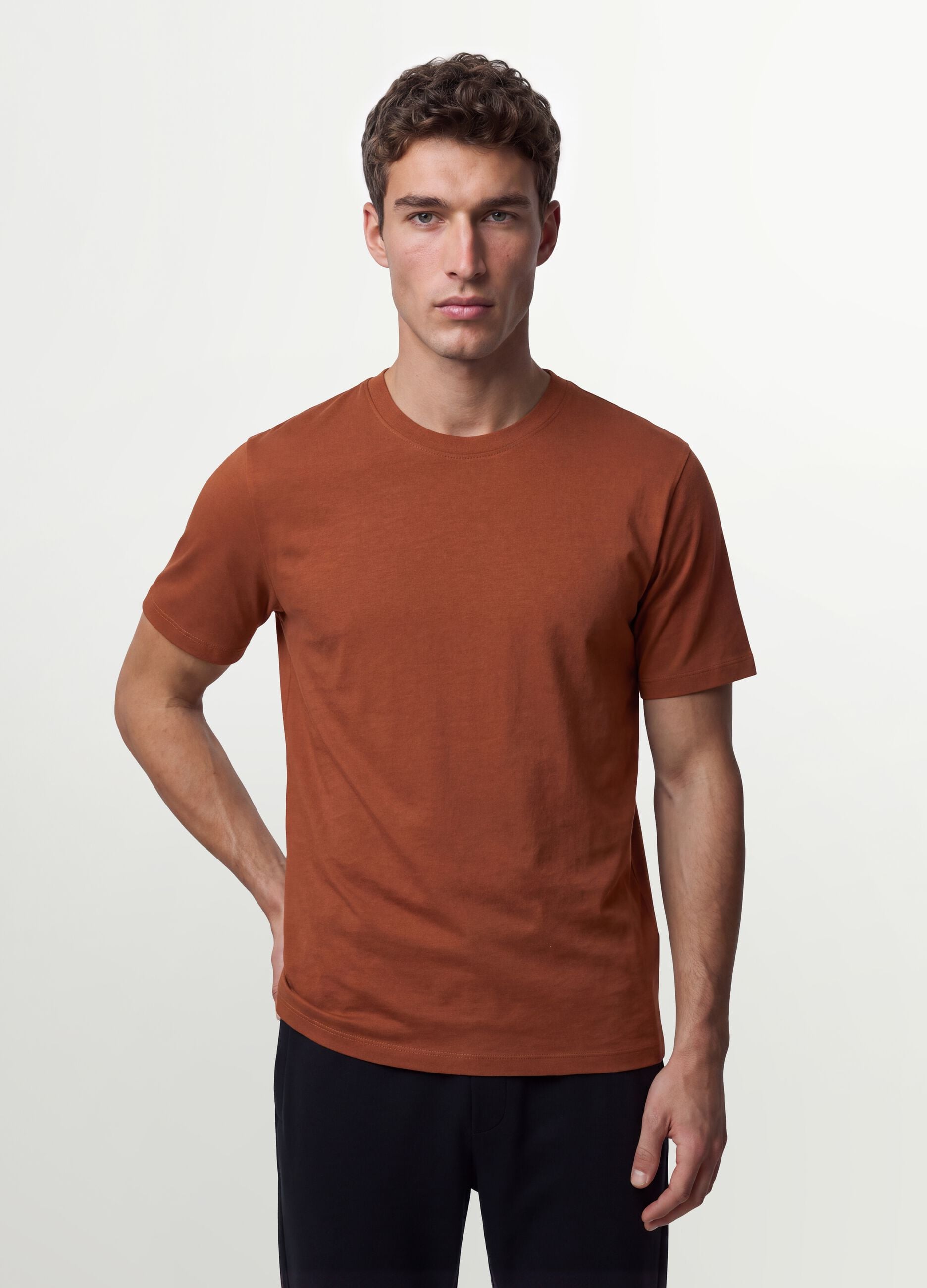 Brown regular-fit T-shirt in pure organic cotton jersey