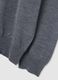 Grey pure merino wool jumper regular fit with crew neck_5