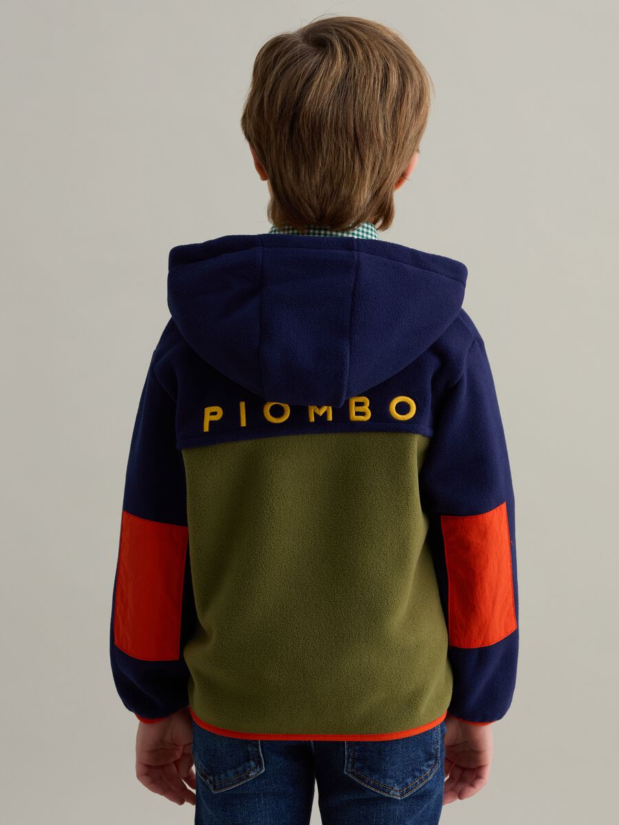 Full-zip colourblock sweatshirt in fleece with hood_1