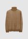 Brown Regular Fit Turtleneck_0