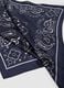 Blue pure cotton bandana regular fit with paisley pattern_2