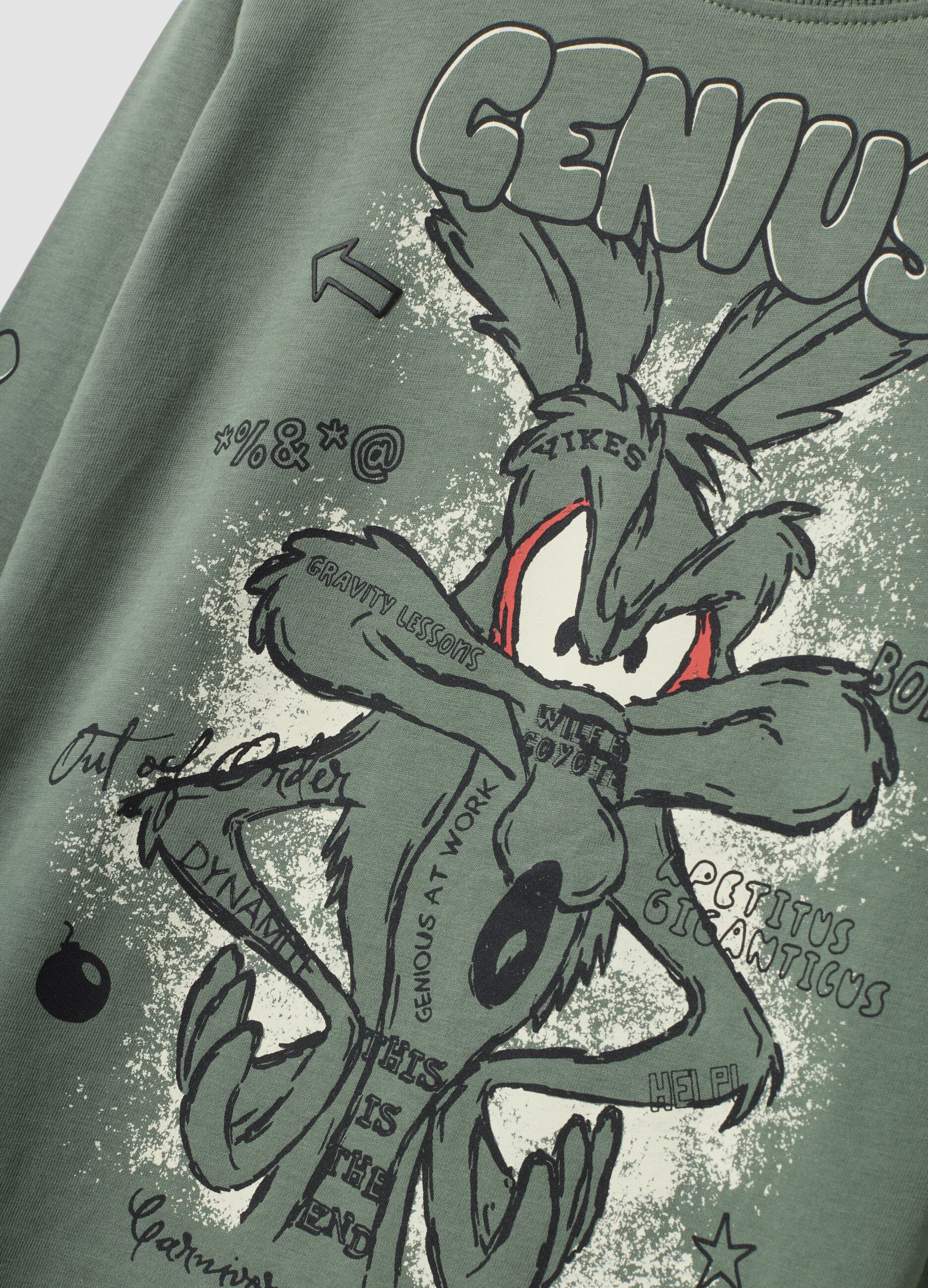 Boys&rsquo; green pure cotton long-sleeve Looney Tunes print T-shirt