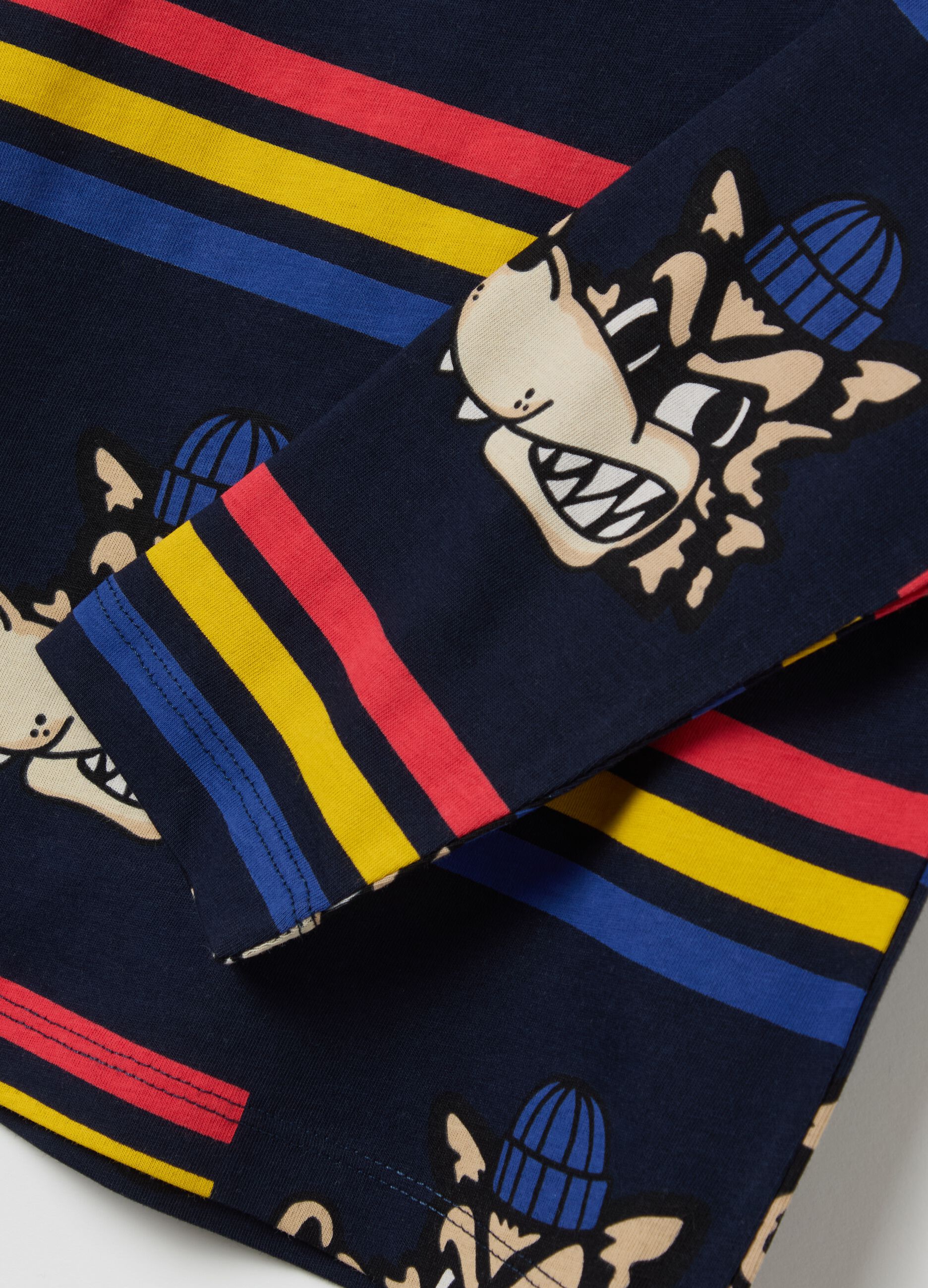 Long-sleeved T-shirt in cotton with print