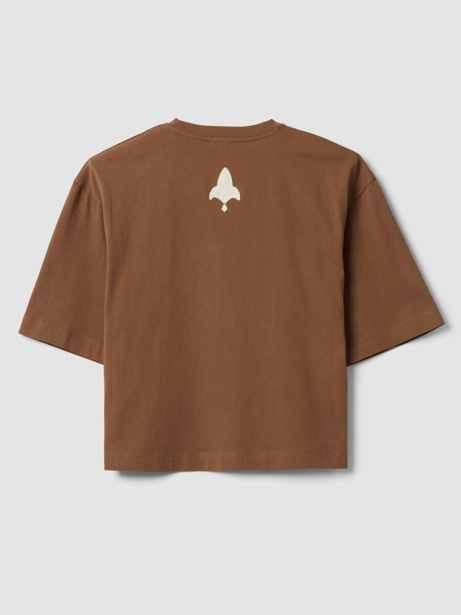Brown pure cotton T-shirt with embroidery, regular fit_6