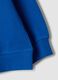 Blue relaxed-fit sweatshirt in 100% organic cotton with print for boys_3