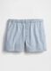 Blue Striped Denim Shorts_6