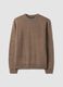 Brown crew-neck jersey knit jumper, regular fit_0