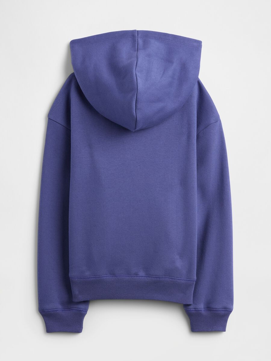 Purple Hoodie_1