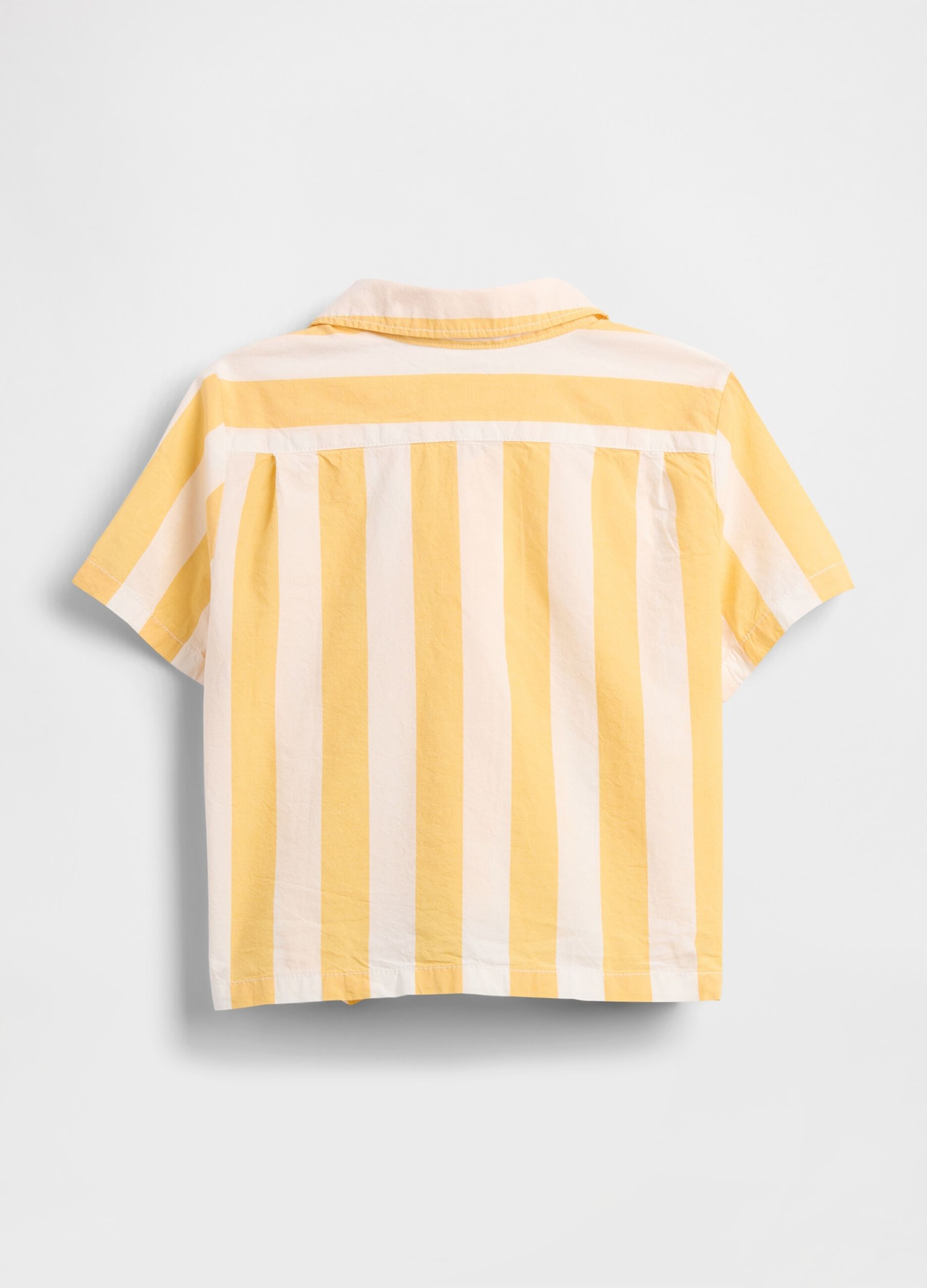 Striped Shirt