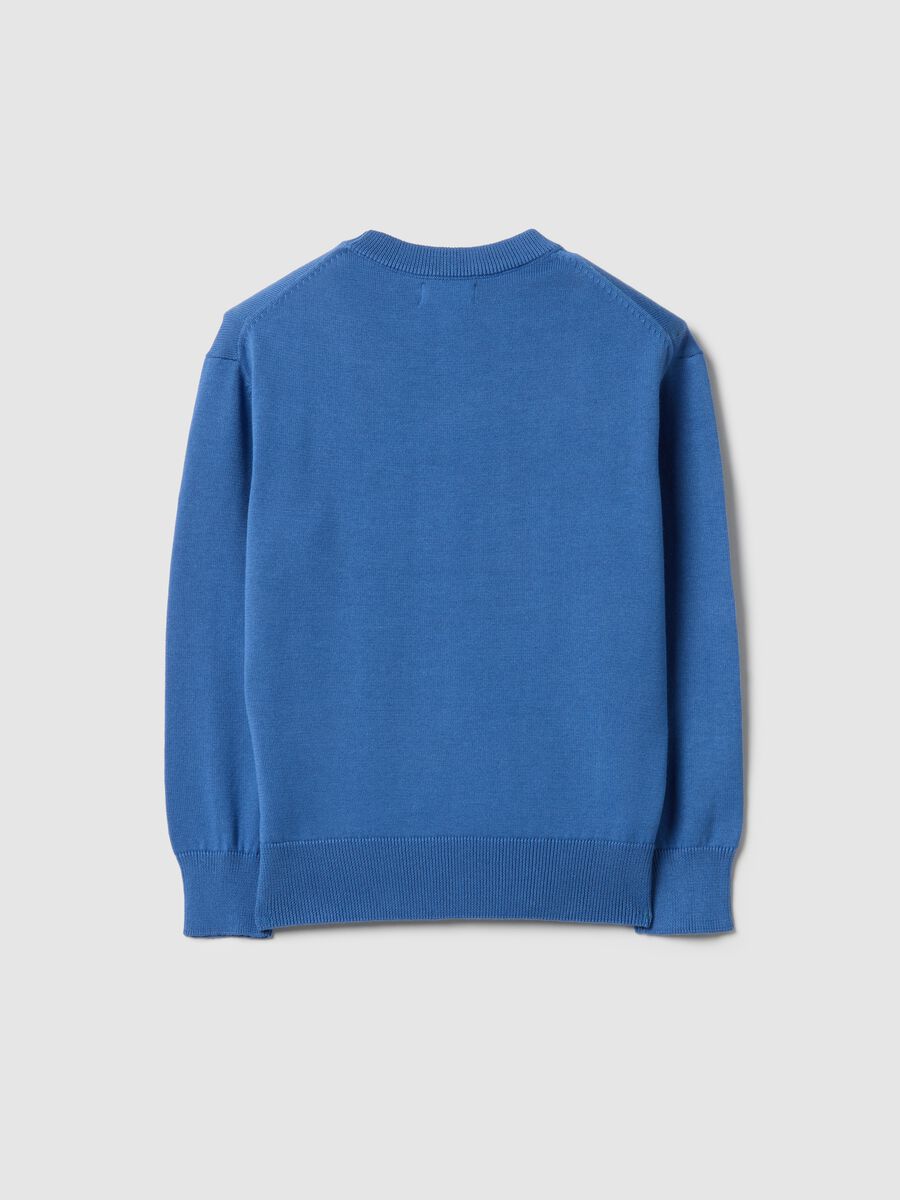 Children's Regular Fit Blue Cotton Crew Neck Jumper_1