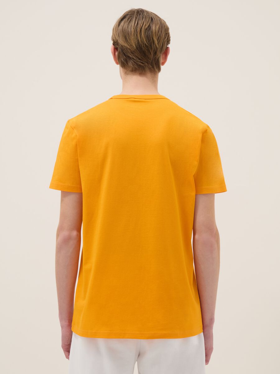 Orange pure cotton regular fit T-shirt with Everlast logo_3
