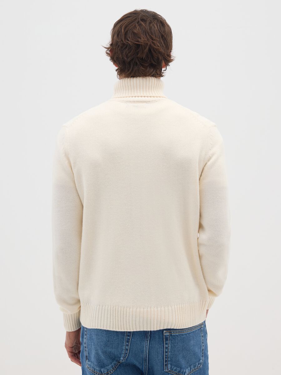 Beige Regular Fit Roll Neck Jumper with Jacquard Pattern_2