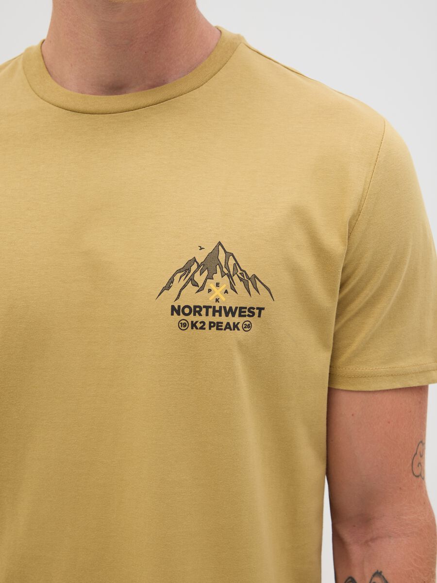 Men's beige pure cotton t-shirt regular fit_2
