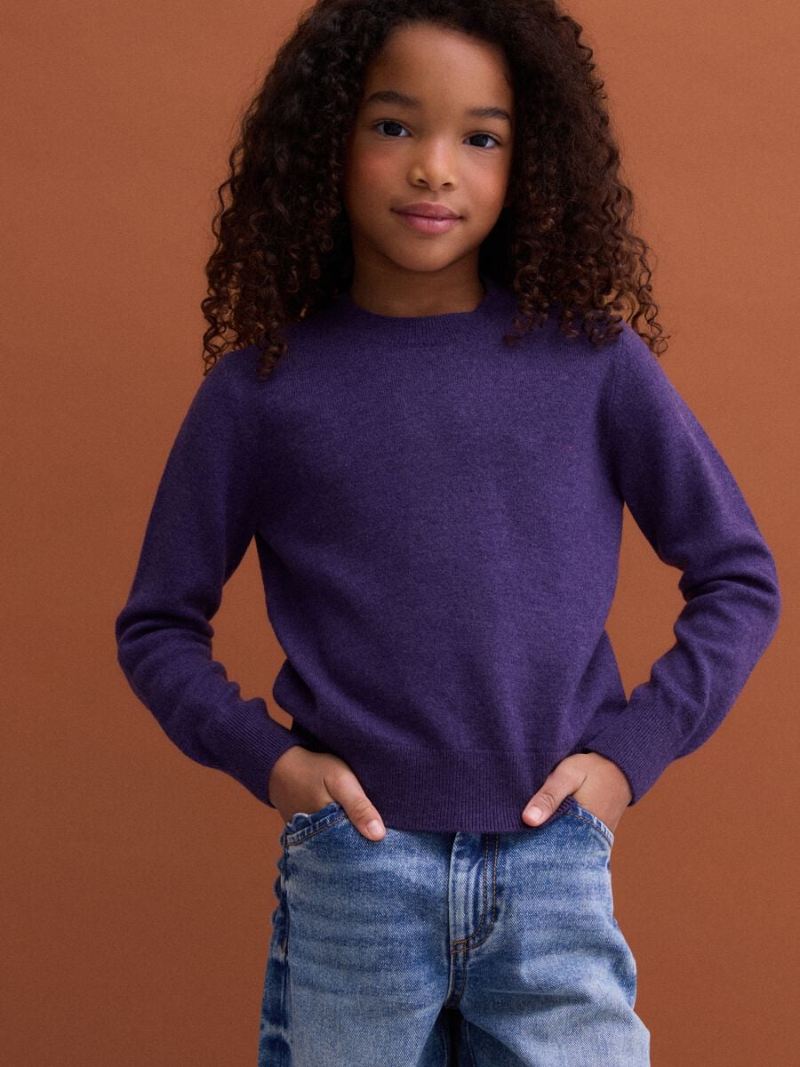 Maglione viola in pura lana a maniche lunghe regular fit_1