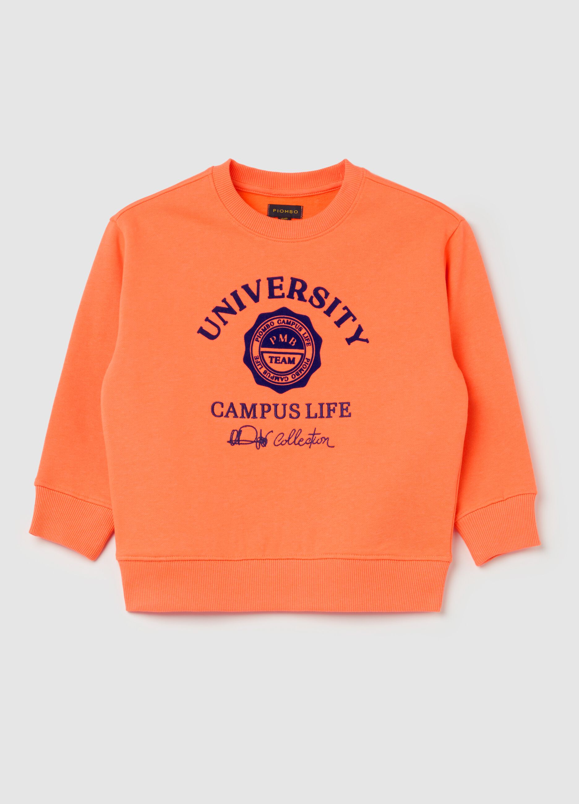 French Terry sweatshirt with college design print