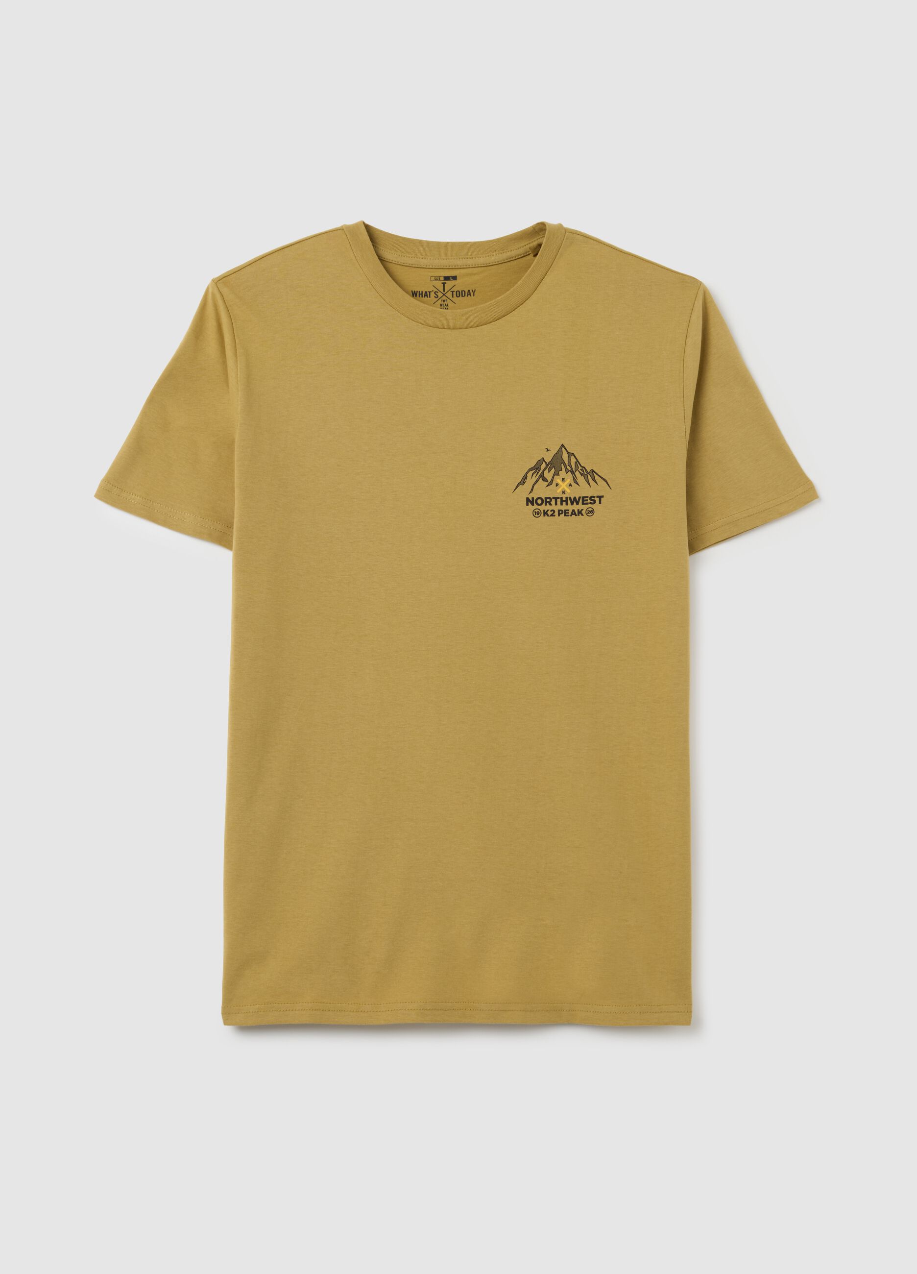 Men's beige pure cotton t-shirt regular fit