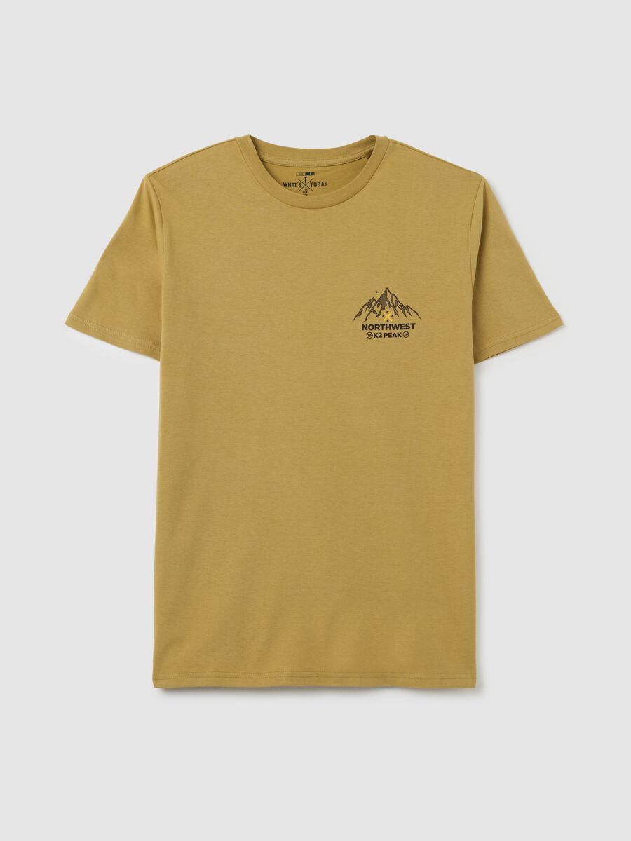 Men's beige pure cotton t-shirt regular fit_0