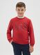 Boys' red sweatshirt in pure cotton regular fit with print_0
