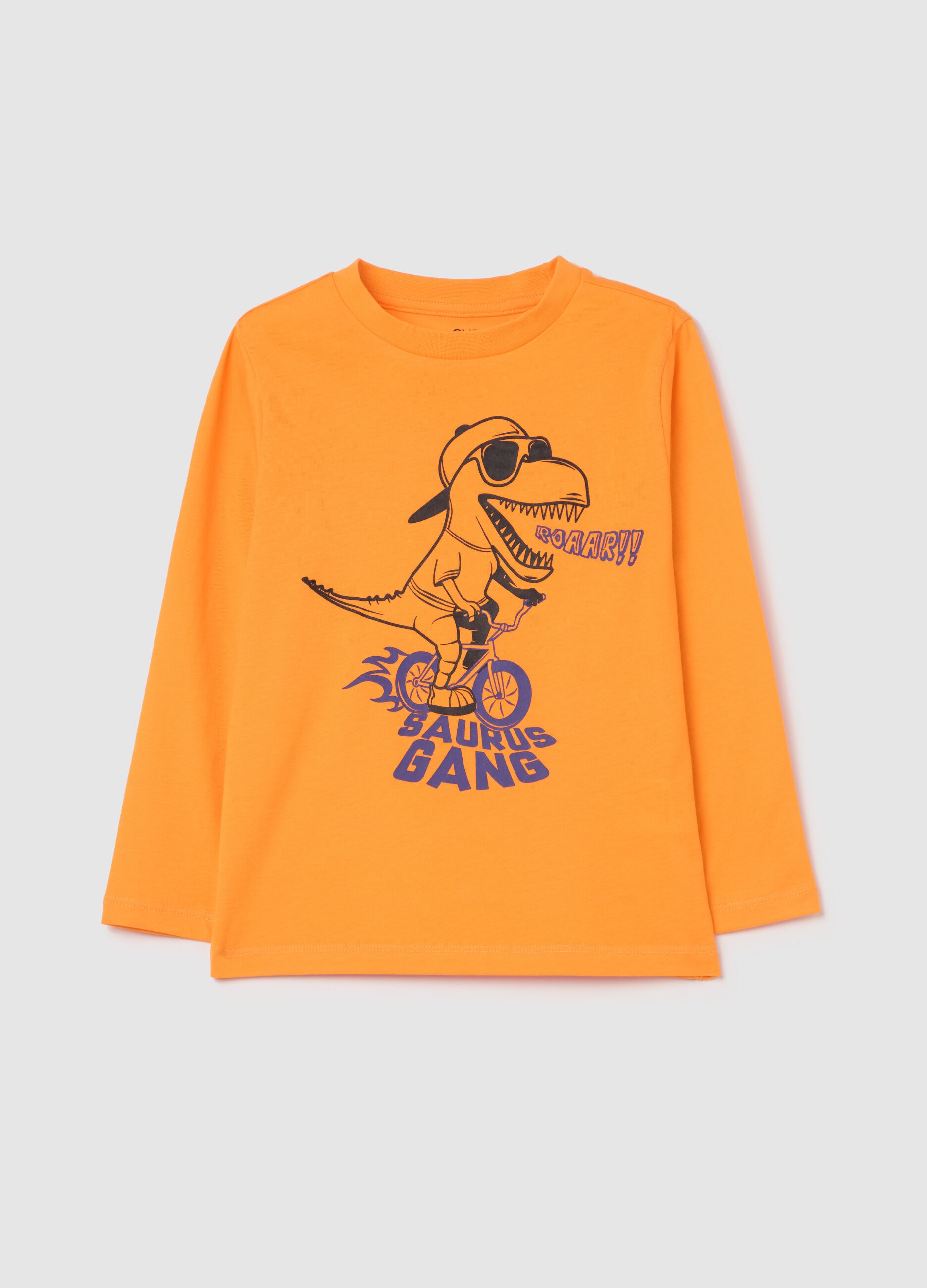 Long-sleeved T-shirt in cotton with print