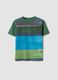 Multicolour striped pure cotton regular fit t-shirt for kids_0