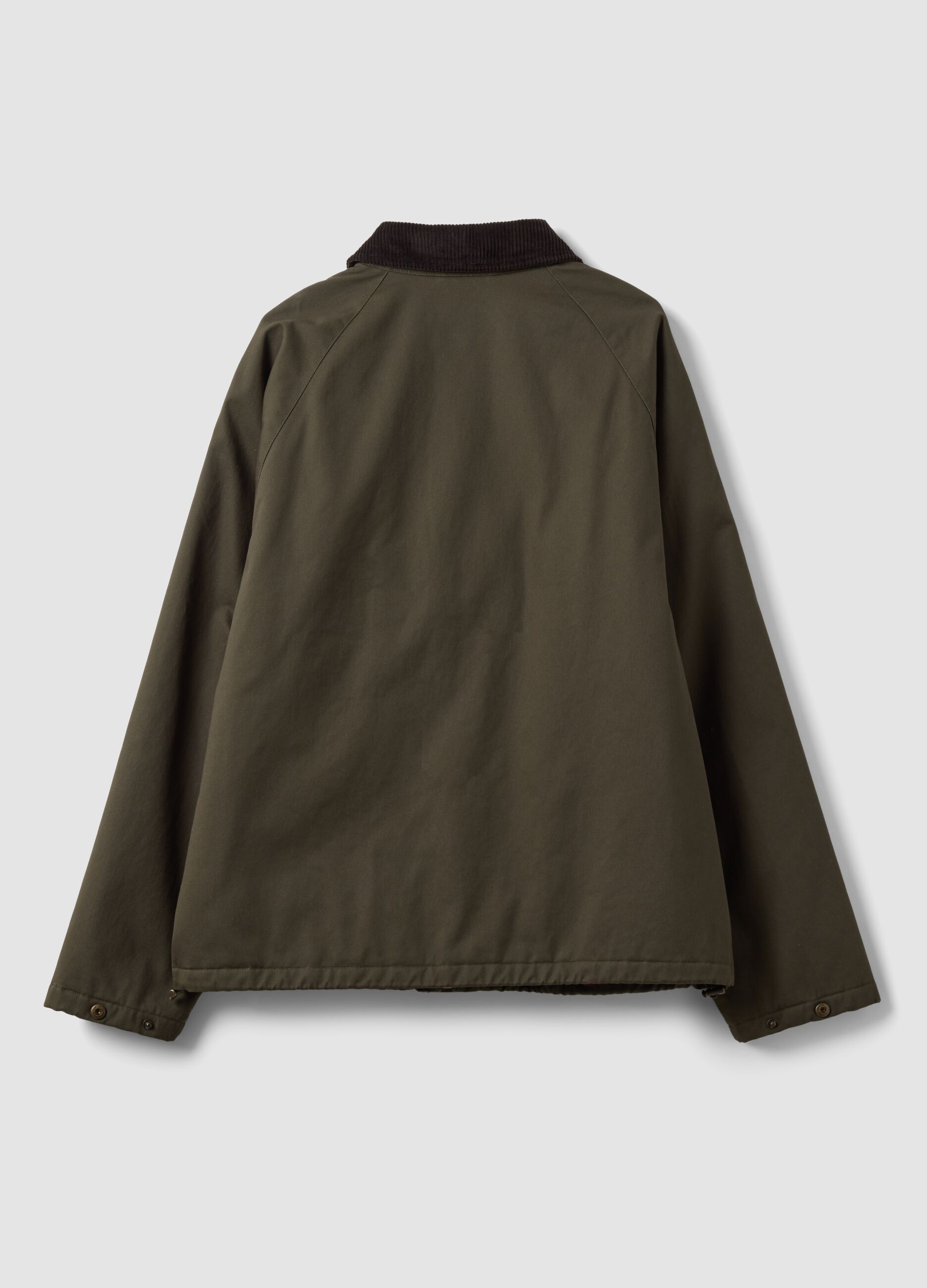 Giacca verde in puro cotone con collo in velluto