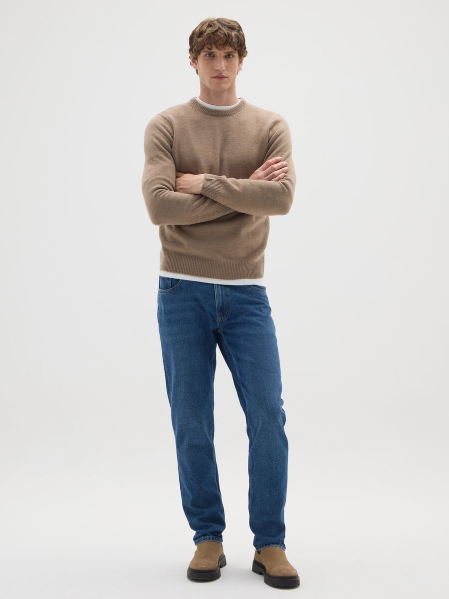 Regular Fit Beige Jumper_1