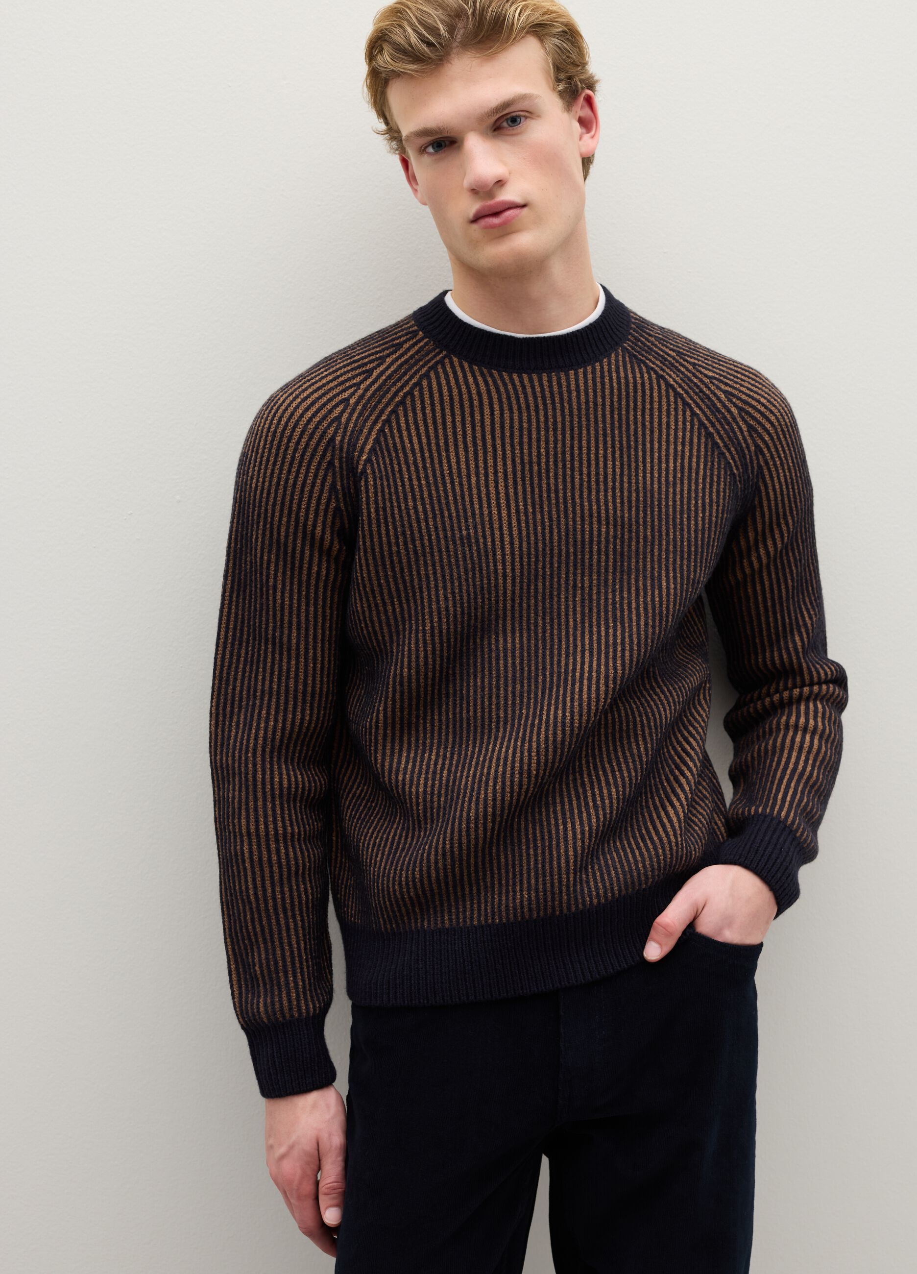 Multicolour striped regular fit knitted sweater