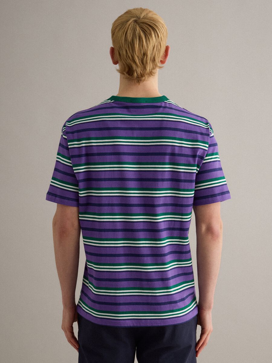 T-shirt in puro cotone a righe multicolor regular fit_3