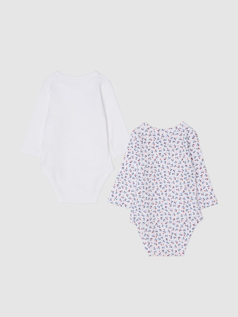 Two-pack white and multicolour bodysuits for newborn_1