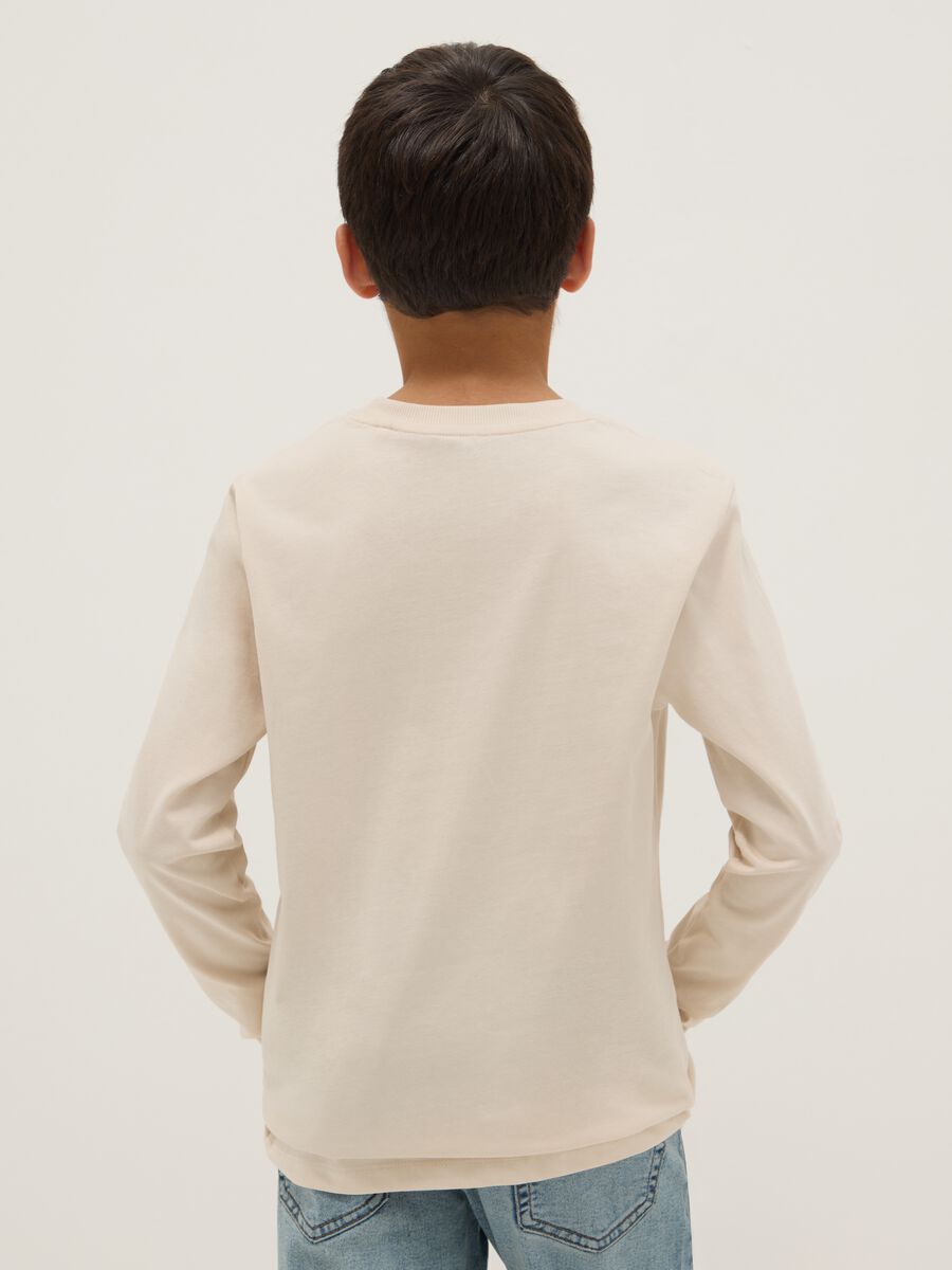 Boys' Beige Pure Cotton Regular Fit Jumper_1