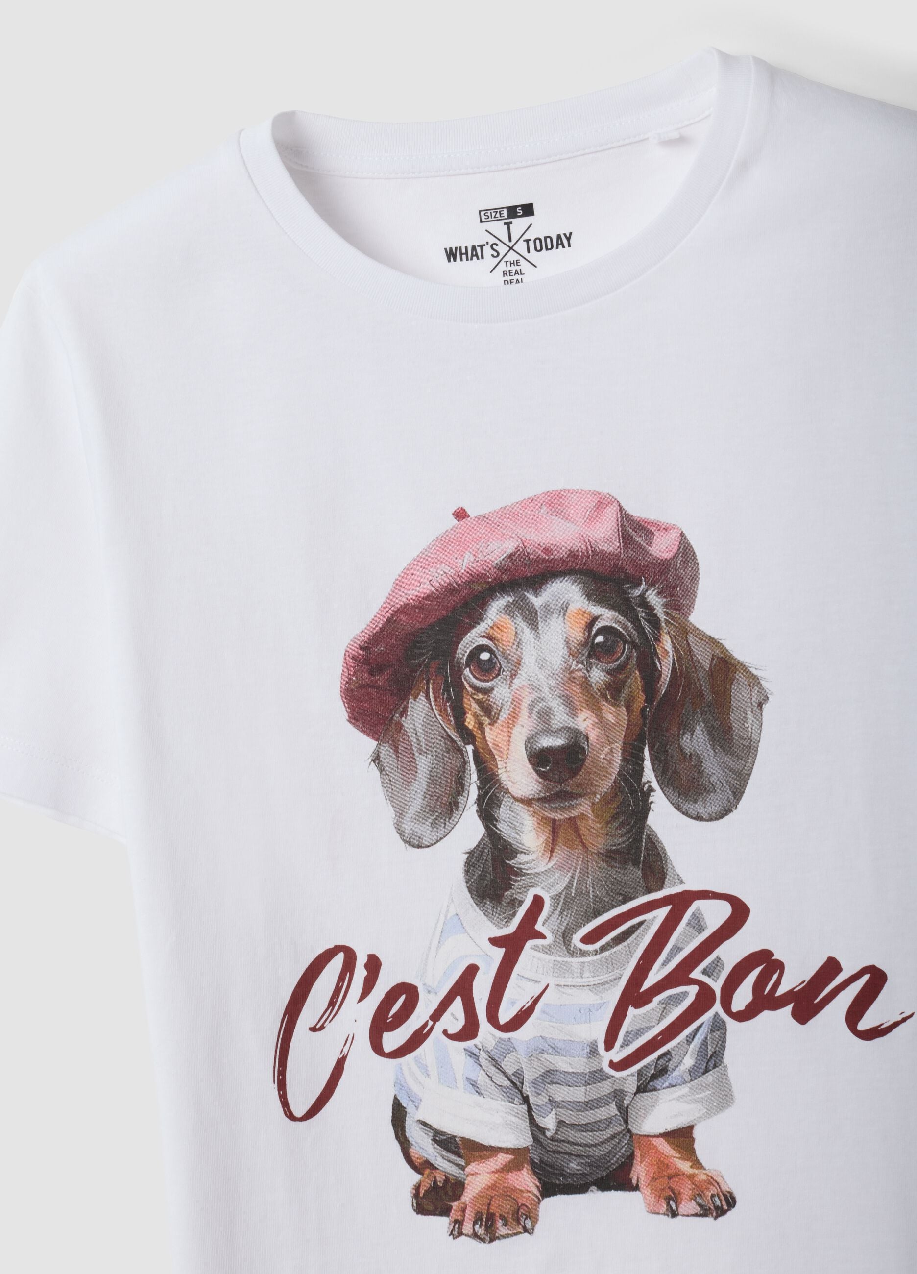 T-shirt bianca in puro cotone jersey e stampa cagnolino regular fit