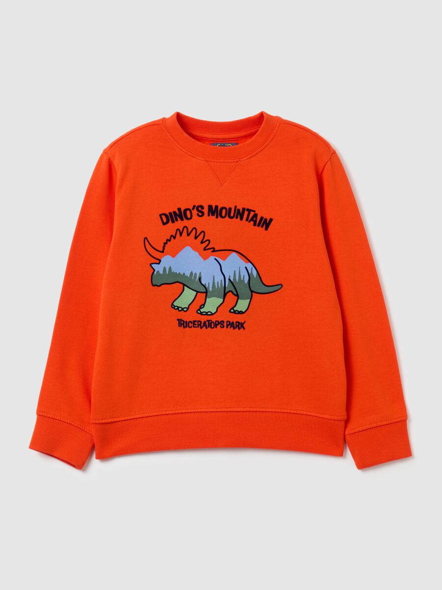 French terry sweatshirt with print_0