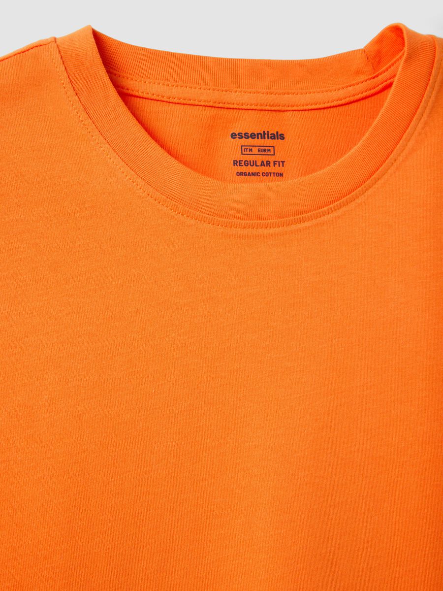 Orange Pure Cotton Short Sleeve Regular Fit T-shirt_5