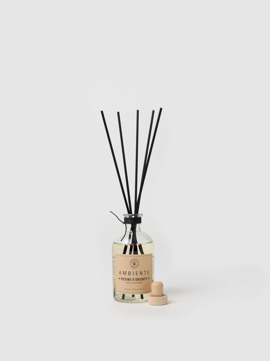 Ambient Diffuser "Oriental Resins"_2