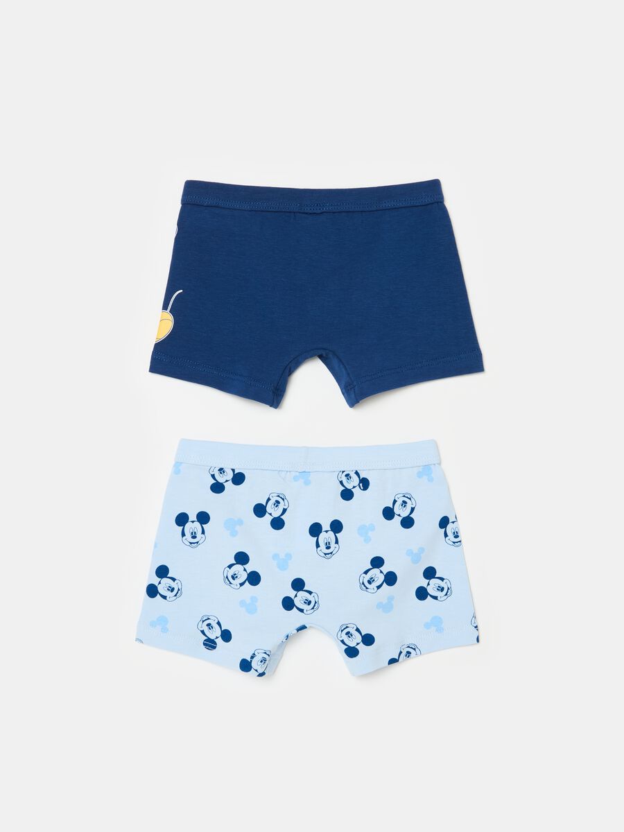 Two-pack organic cotton boxer shorts with Thumper print_1