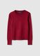 Red Crew-Neck Jumper Regular Fit_4