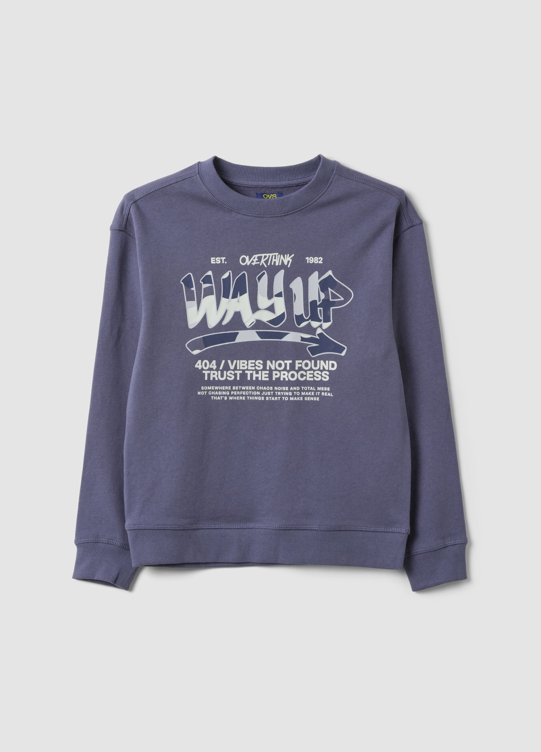 Grey pure cotton sweatshirt with front print for boys, relaxed fit