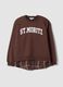 Brown cotton-blend sweatshirt with shirt-effect insert, regular fit_0