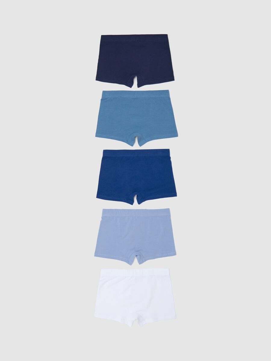 Set cinque boxer blu e bianchi in cotone elasticizzato _1