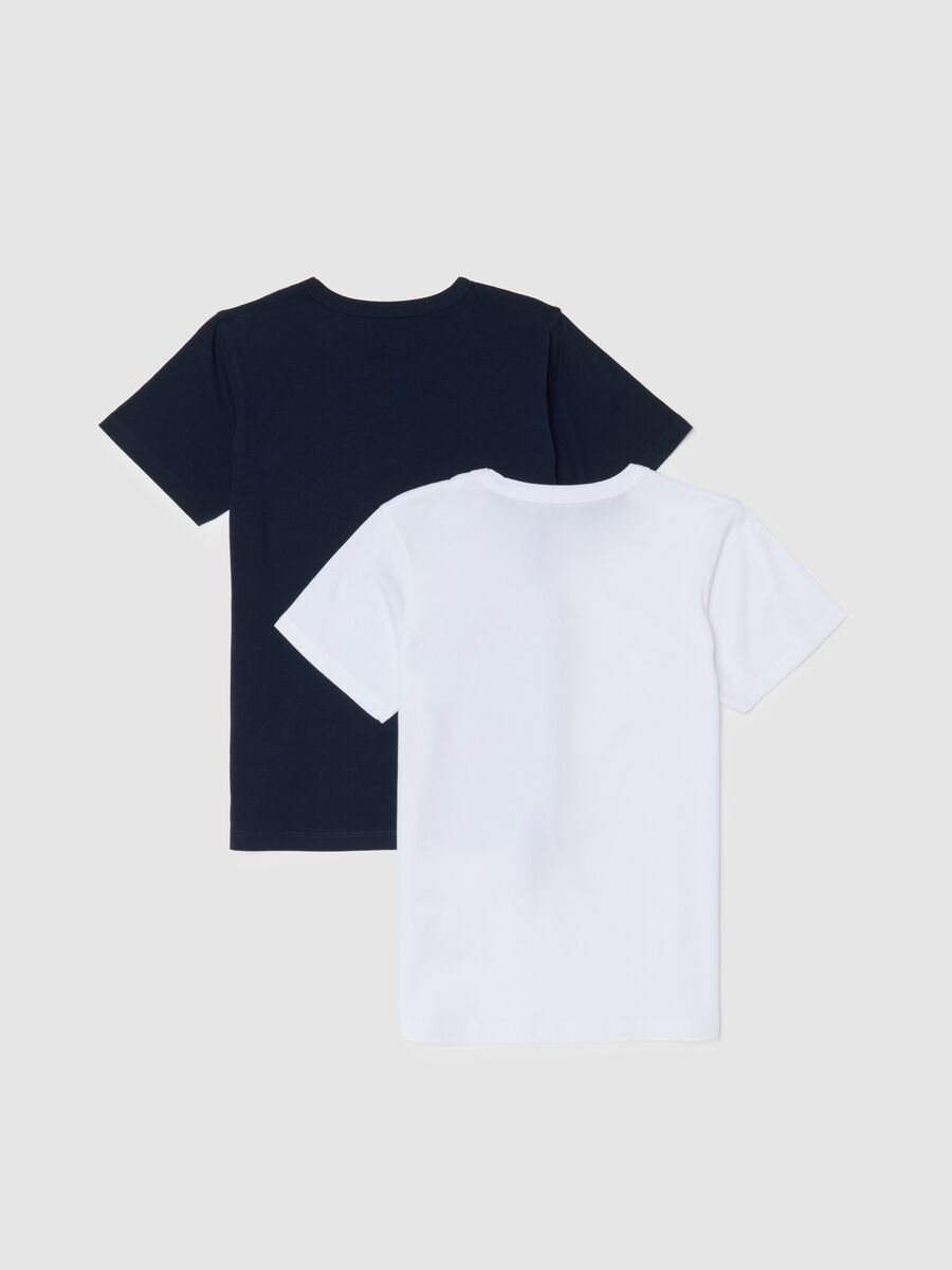 Bipack t-shirt multicolor da ragazzo in puro cotone regular fit_1