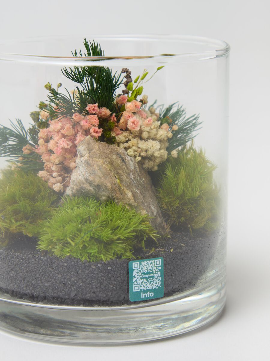 Evergreen Terrarium_1